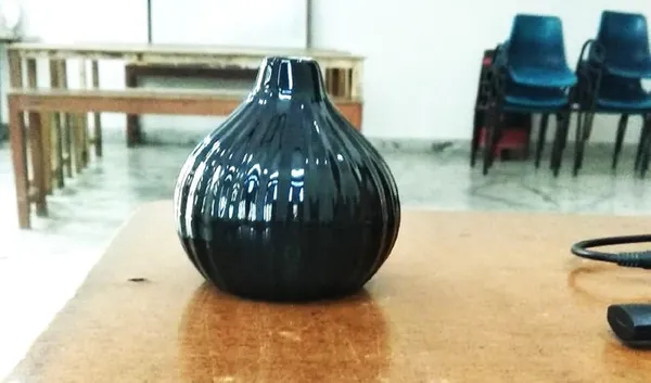 Ceramic_Flower_Vase/Pot,_Black,_1_Piece_for_Living_Room,_Home_Décor_(Garlic_Type)