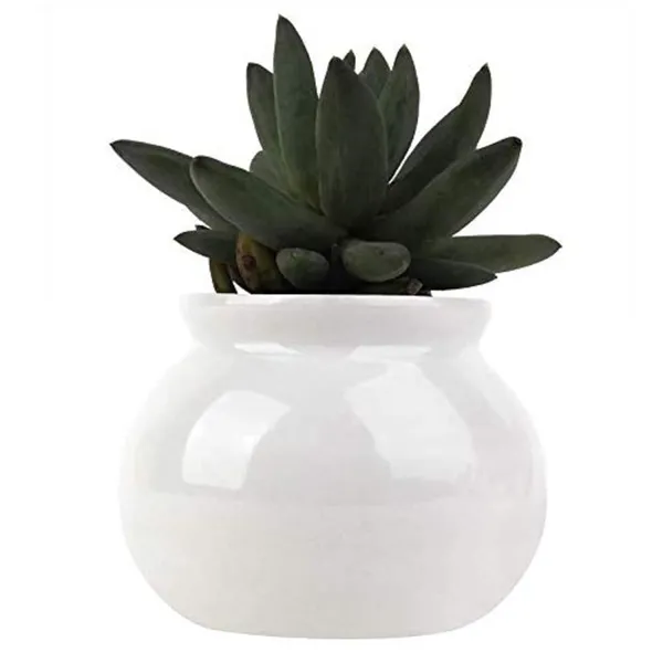 Flower_Ceramic_Matka_Shape_Handcrafted_Flower_Pot_Plant_Container_for_Home_Room_&_Office_Decoration_-_White_(with_Drainage_Hole)