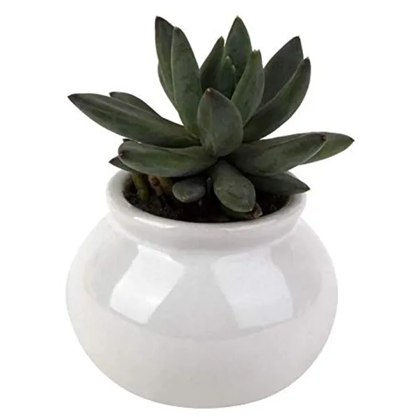 Flower_Ceramic_Matka_Shape_Handcrafted_Flower_Pot_Plant_Container_for_Home_Room_&_Office_Decoration_-_White_(with_Drainage_Hole)
