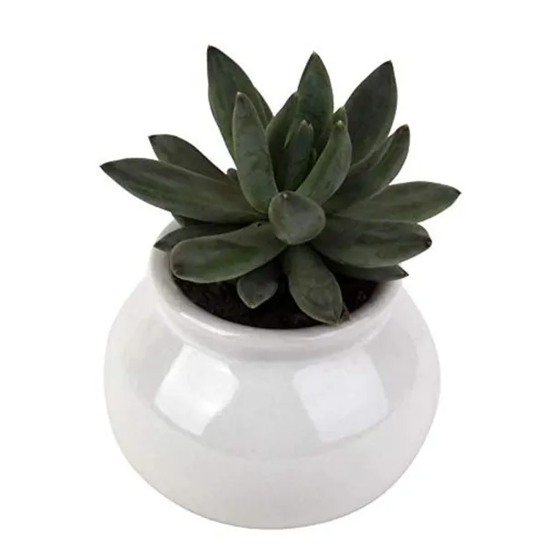 Flower_Ceramic_Matka_Shape_Handcrafted_Flower_Pot_Plant_Container_for_Home_Room_&_Office_Decoration_-_White_(with_Drainage_Hole)