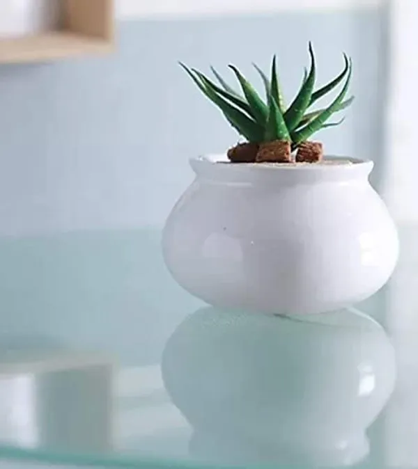Flower_Ceramic_Matka_Shape_Handcrafted_Flower_Pot_Plant_Container_for_Home_Room_&_Office_Decoration_-_White_(with_Drainage_Hole)