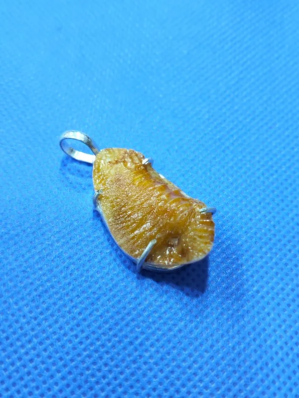 23_-_SHUKRA_MANI_PENDANT