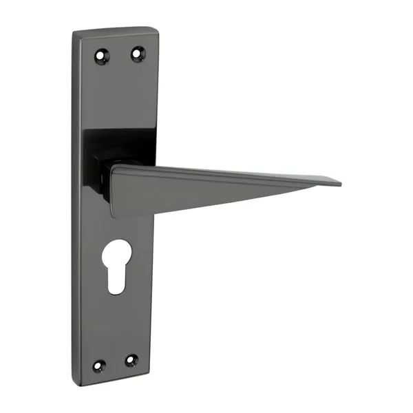 Black_Lock_with_Key_and_Knob_FSS-12_Mortise__|_Secure_Door_Lock_Solution