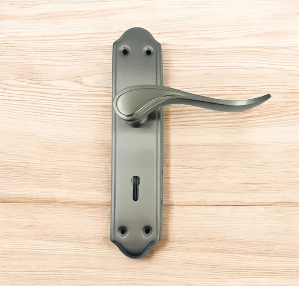 Silver_Finish_Mortise_lock_Series_SS-3_for_doors