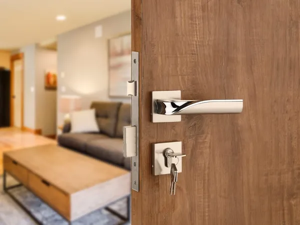 Silver_Finish_Rose-Zim-47_Mortise_Lock_with_Key_&_Knob