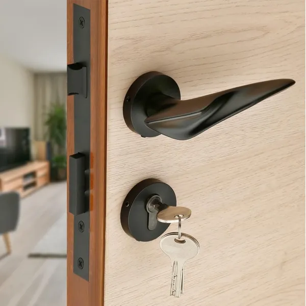 Black_Finish_Ellipse_Mortise_lock_for_doors