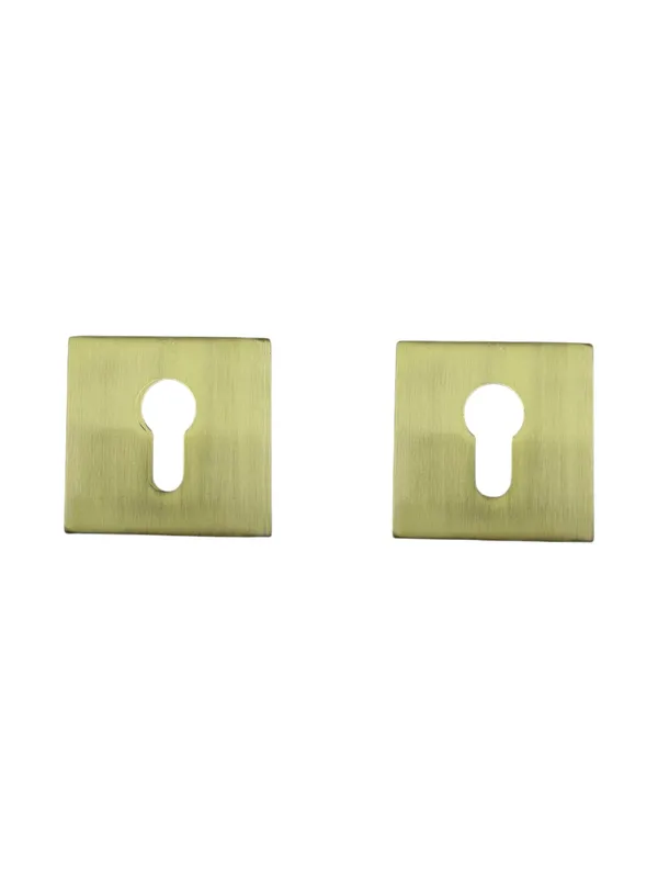 Gold_Finish_Lock_with_Key_and_Knob_Rose_54