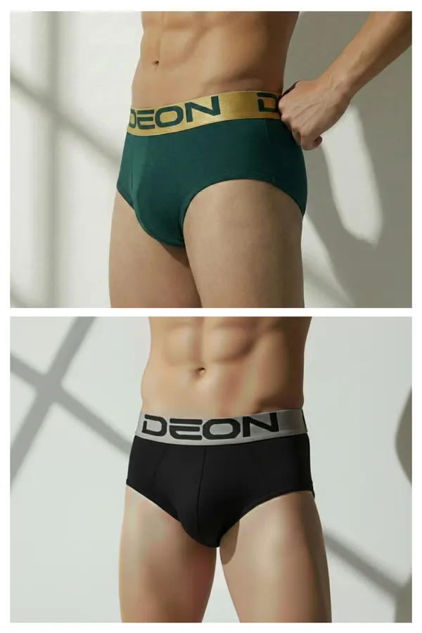 Cotton_Elastane_Plain_Brief_|_Ultra_Series_-_Super_Stretchable,_Metallic_Waistband_|_Pack_of_2_(Assorted_Colours)