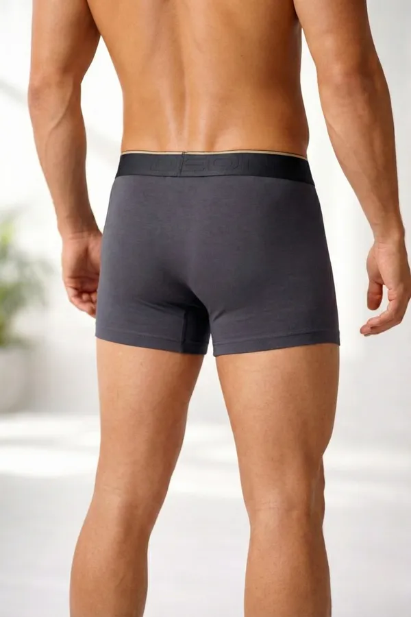 Micromodal_Elastane_Plain_Trunk_|_Luxury_Series_-_3x_softer_than_cotton,_Super_soft_waistband_|_Pack_of_2_(Graphite_Grey,_Teal_Appeal)