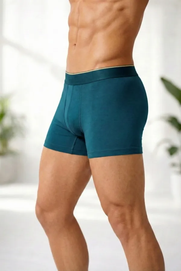 Micromodal_Elastane_Plain_Trunk_|_Luxury_Series_-_3x_softer_than_cotton,_Super_soft_waistband_|_Pack_of_2_(Graphite_Grey,_Teal_Appeal)