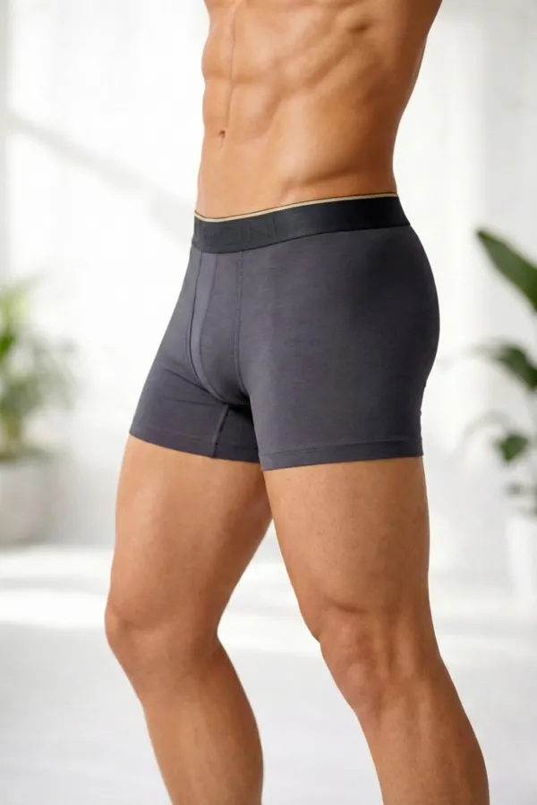 Micromodal_Elastane_Plain_Trunk_|_Luxury_Series_-_3x_softer_than_cotton,_Super_soft_waistband_|_Graphite_Grey
