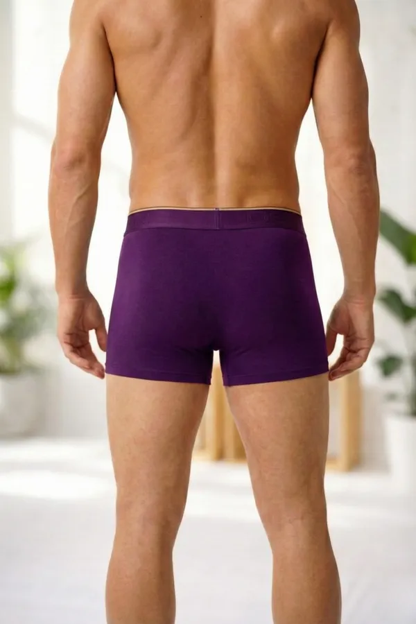 Micromodal_Elastane_Plain_Trunk_|_Luxury_Series_-_3x_softer_than_cotton,_Super_soft_waistband_|_Pack_of_5_(Assorted_Colours)