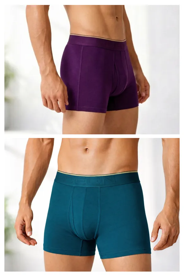 Micromodal_Elastane_Plain_Trunk_|_Luxury_Series_-_3x_softer_than_cotton,_Super_soft_waistband_|_Pack_of_2_(Assorted_Colours)