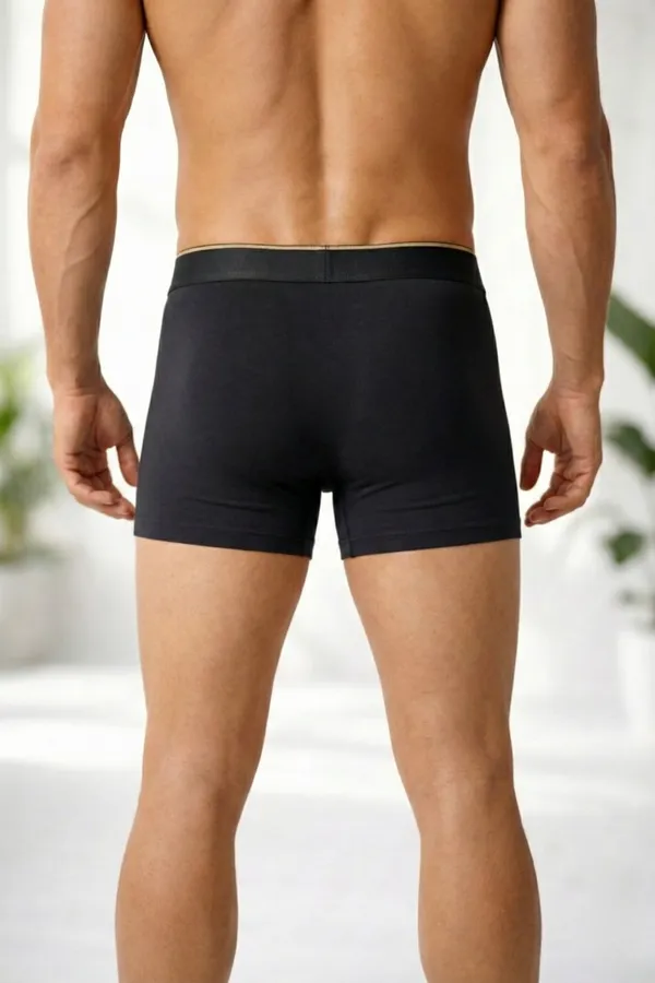 Micromodal_Elastane_Plain_Trunk_|_Luxury_Series_-_3x_softer_than_cotton,_Super_soft_waistband_|_Pack_of_2_(Assorted_Colours)