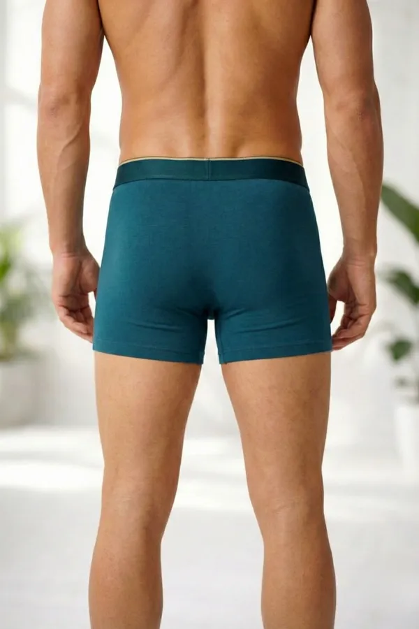 Micromodal_Elastane_Plain_Trunk_|_Luxury_Series_-_3x_softer_than_cotton,_Super_soft_waistband_|_Pack_of_3_(Teal,_Blue,_Black)