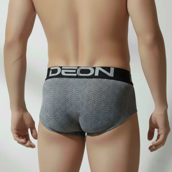 Cotton_Elastane_Printed_Brief_|_Ultra_Series_-_Super_Stretchable,_Metallic_Waistband_|_Pack_of_2_(Assorted_Colours)