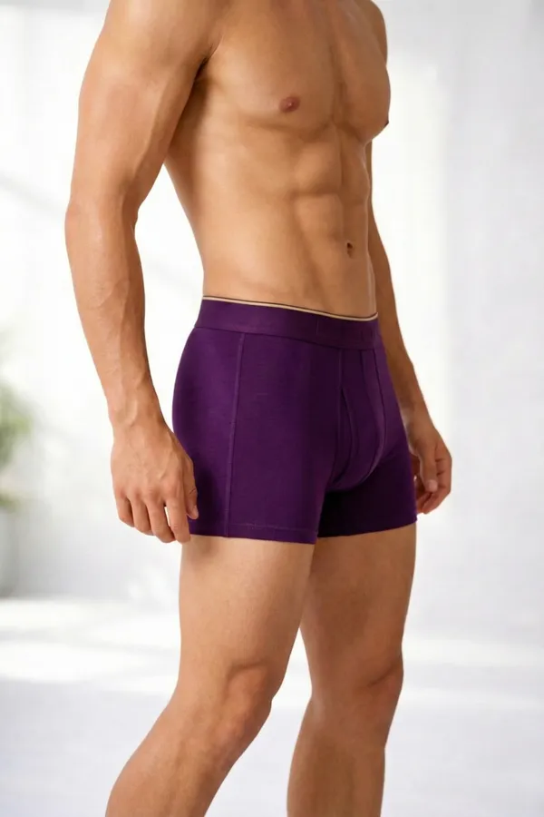 Micromodal_Elastane_Plain_Trunk_|_Luxury_Series_-_3x_softer_than_cotton,_Super_soft_waistband_|_Pack_of_3_(Plum,_Black,_Grey)