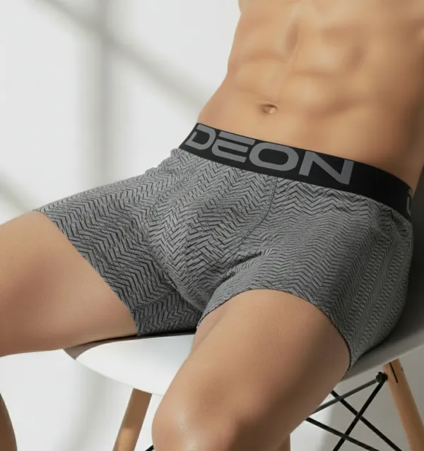 Cotton_Elastane_Printed_Trunk_|_Ultra_Series_-_Super_Stretchable,_Metallic_Waistband_|_Sterling_Silver