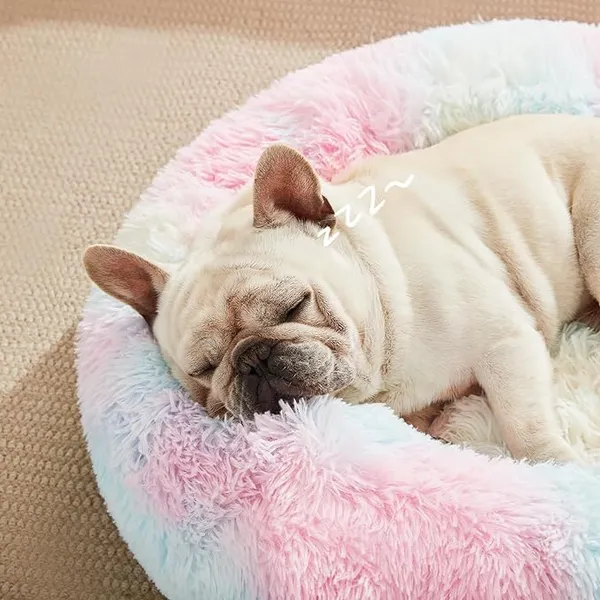 Round_Donut_Comfortable_Durable_Both_Sides_usable_and_Washable_Pet_Bed_|_Cat_Bed_|_Puppy_Bed_|_Medium_Size_Pets_Dog_Bed_|_Medium_Dog_Bed_for_Cats_Puppies_(Rainbow,_Medium)