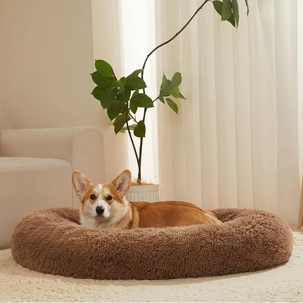ZEXSAZONE_Round_Donut_Comfortable_Durable_Both_Sides_usable_and_Washable_Pet_Bed_|_Cat_Bed_|_Puppy_Bed_|_Medium_Size_Pets_Dog_Bed_|_Medium_Dog_Bed_for_Cats_Puppies