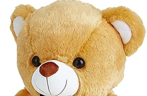 ZEXSAZONE_Soft_Plush_Fabric_Smiley_32_cm_Teddy_with_Birthday_Heath_Brown_Color