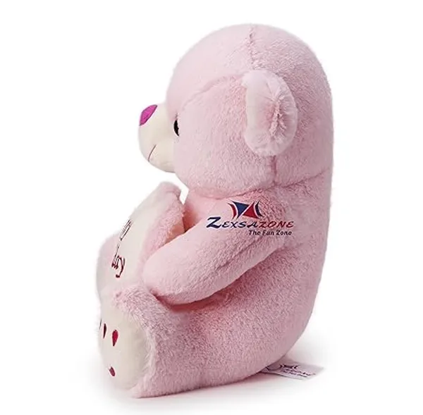 ZEXSAZONE_Soft_Plush_Fabric_Smiley_32_cm_Teddy_with_Birthday_Heath_Pink_Color