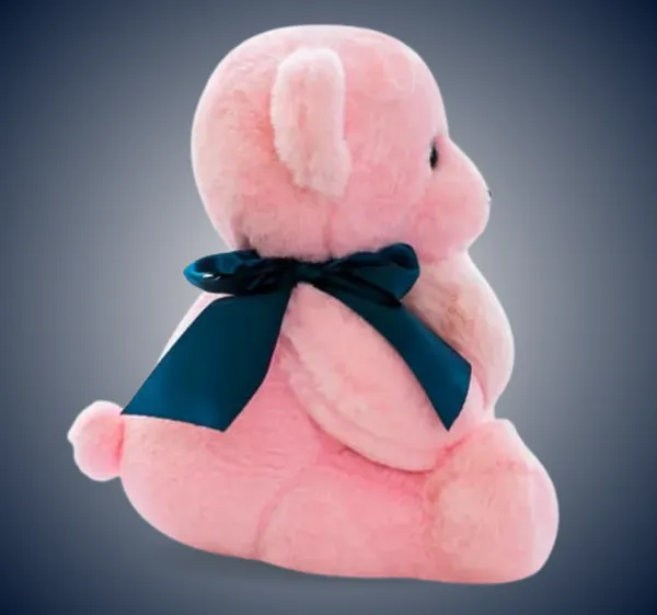 Pink_Soft_Fabric_Stuffed_Teddy_Bear_With_Birthday_Balloon__(24_Cm)