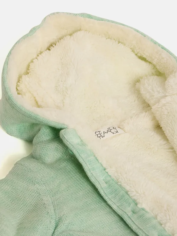 Mint_Green_Full_Sleeve_Cotton_Fur_Lined_Sweater_For___Kids