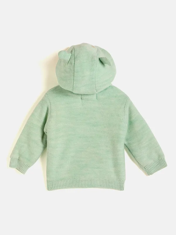 Mint_Green_Full_Sleeve_Cotton_Fur_Lined_Sweater_For___Kids
