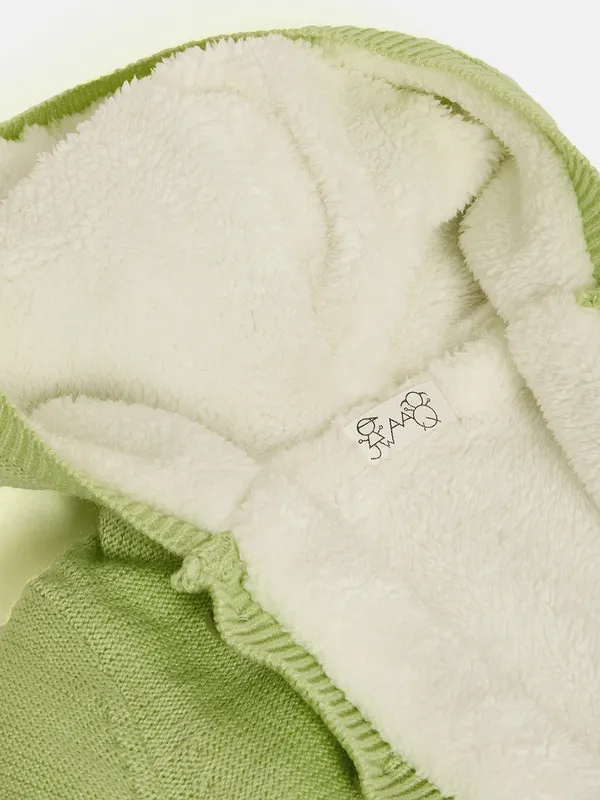 Mint_Green_Full_Sleeve_Cotton_Fur_Lined_Sweater_For___Kids