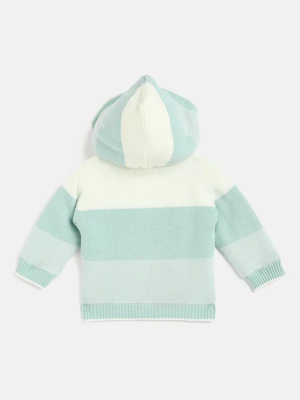 Mint_Full_Sleeve_Cotton_Fur_Lined_Sweater_For___Kids