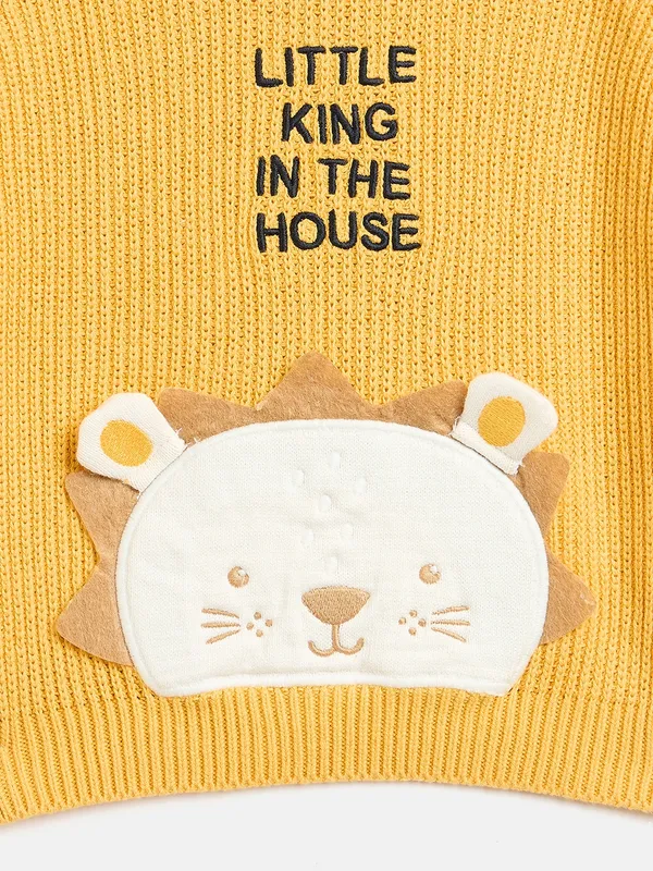 JWAAQ_Kids_Unisex_Winter_Full_Sleeve_Sweater