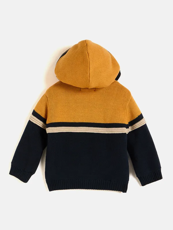 Multicolor_Full_Sleeve_Cotton_Fur_Lined_Sweater_For_Boys