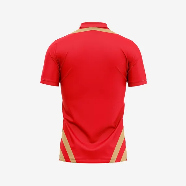 Customized_Cricket_Punjab_Kings_Jersey_2023