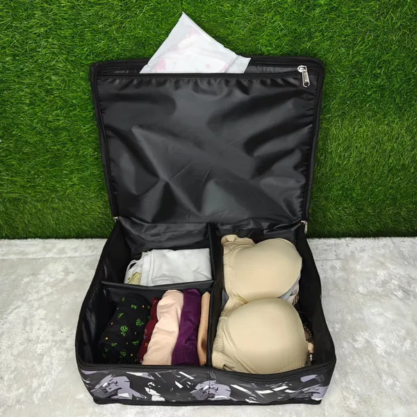 Black_Innerwear_Storage_Case_Organiser_Bag