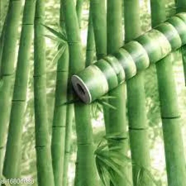 Green_Pvc_Wall_Stickers_For_Living_Room_|_3D_Green_Bamboo_Design_Self_Adhesive_Wallpaper__45Cm(W)_X600Cm(L)-28Sqft/Roll