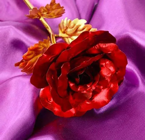 Red_Decorative_Gold_Plated_Artificial_Rose_Flower_With_Box_Valentine_Birthday_Anniversary_Wedding_Gift_For_Girls_Boys_Husband_Wife_Girlfriend_Boyfriend_Gf_Bf_Love_Couple_(Red)_|_Customizable