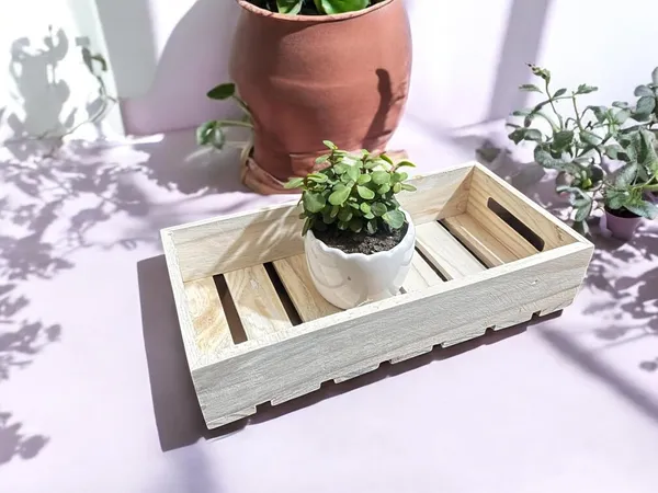 Pinewood_Gift_Hamper_Trays_With_Side_Handles_Serving_Trays_With_Decoration_Net_(Size-30.5X15X6.5Cm)