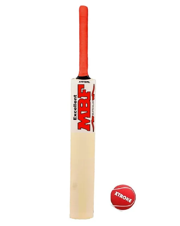 Popular_Willow_Premium_Cricket_Bat_And_Ball_For_Man'S_&_Adult_(Size_05)