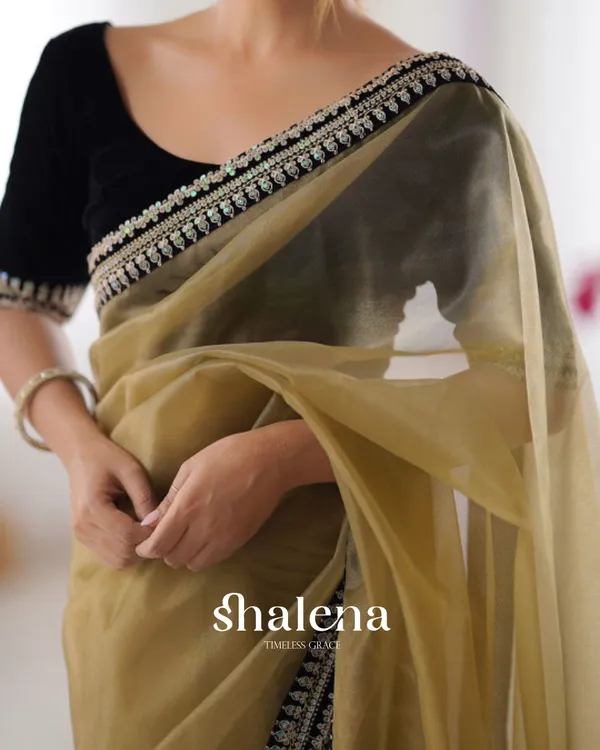 Classy_Beige_Twill_Net_Embroidery_Work_Saree_With_Velvet_Blouse_Piece