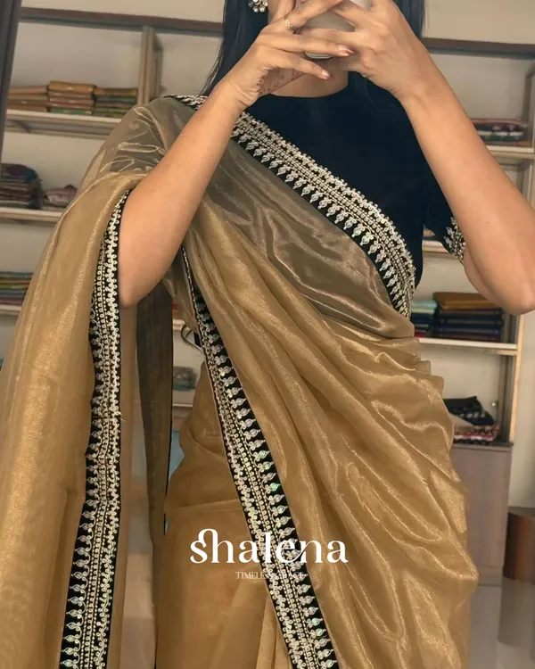 Classy_Beige_Twill_Net_Embroidery_Work_Saree_With_Velvet_Blouse_Piece