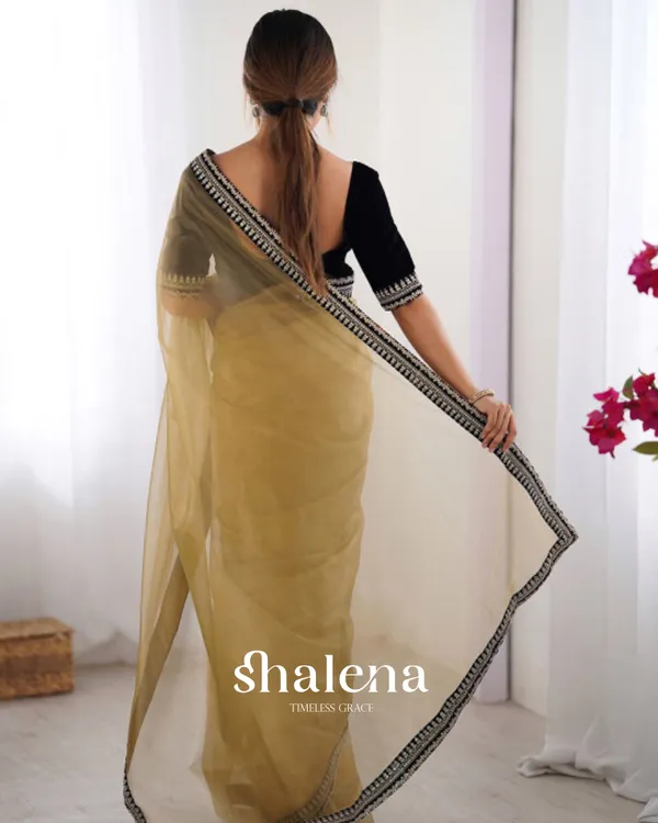 Classy_Beige_Twill_Net_Embroidery_Work_Saree_With_Velvet_Blouse_Piece