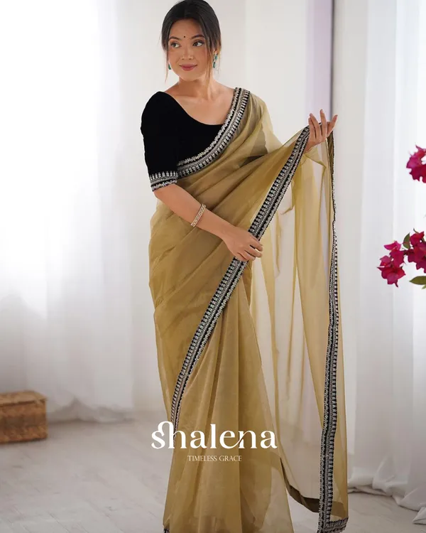 Classy_Beige_Twill_Net_Embroidery_Work_Saree_With_Velvet_Blouse_Piece