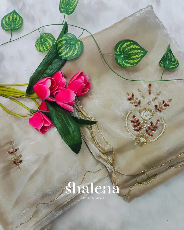 Winsome_Beige_Jimmy_Choo_Hand_Work_Saree