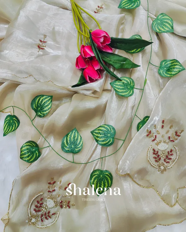 Winsome_Beige_Jimmy_Choo_Hand_Work_Saree
