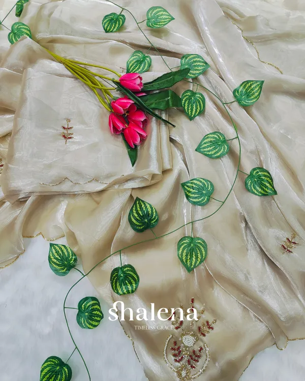 Winsome_Beige_Jimmy_Choo_Hand_Work_Saree
