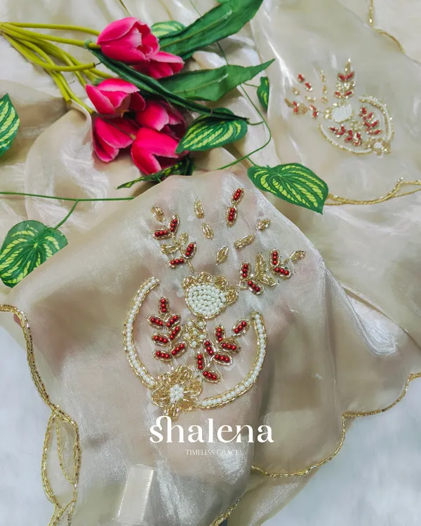Winsome_Beige_Jimmy_Choo_Hand_Work_Saree