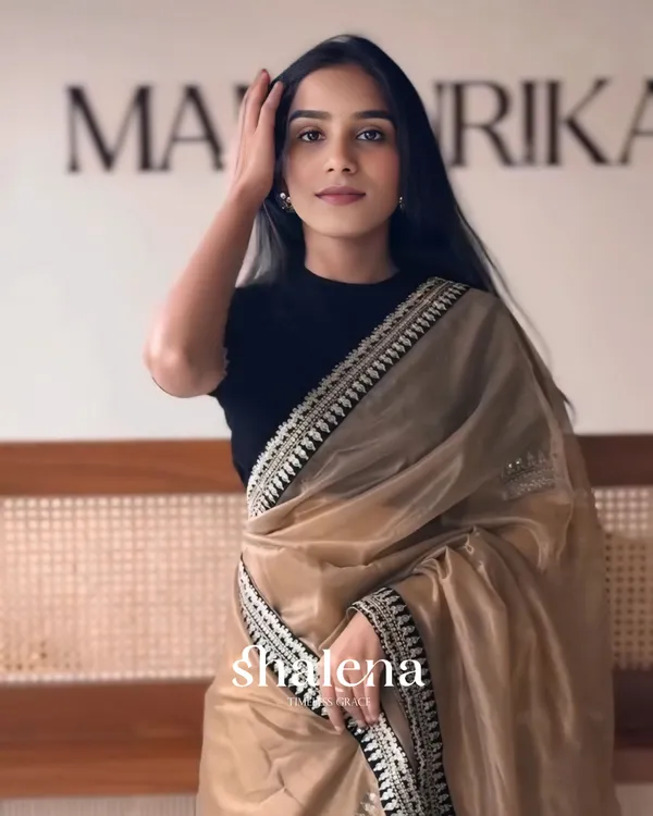 Wonderful_Brown_Twill_Net_Embroidery_Work_Saree_With_Velvet_Blouse_Piece