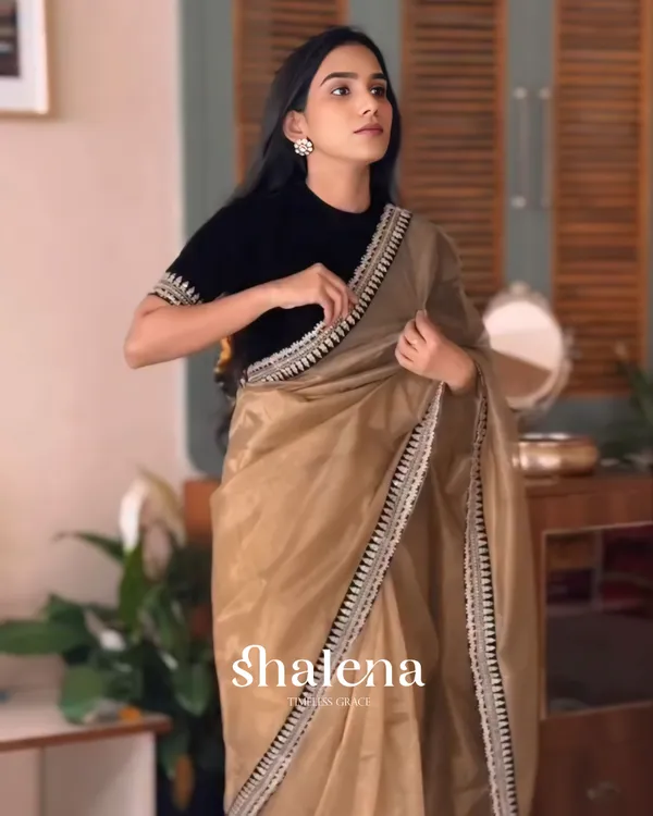 Wonderful_Brown_Twill_Net_Embroidery_Work_Saree_With_Velvet_Blouse_Piece