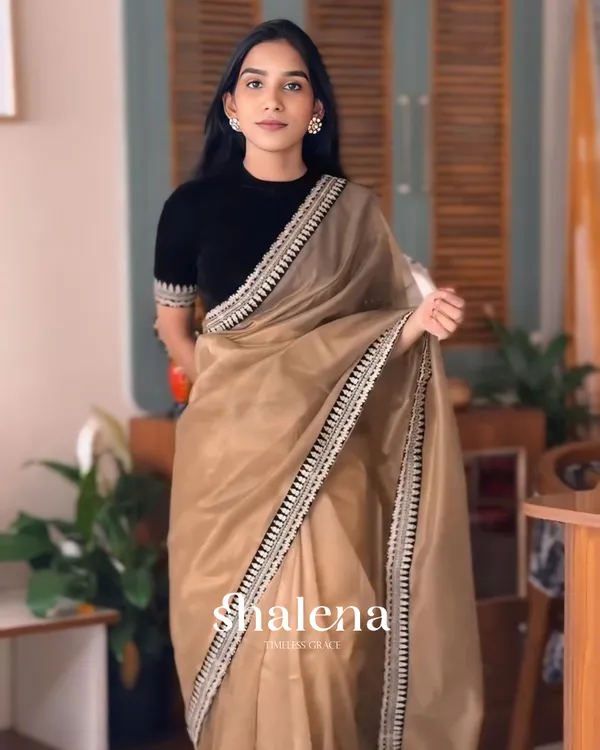 Wonderful_Brown_Twill_Net_Embroidery_Work_Saree_With_Velvet_Blouse_Piece